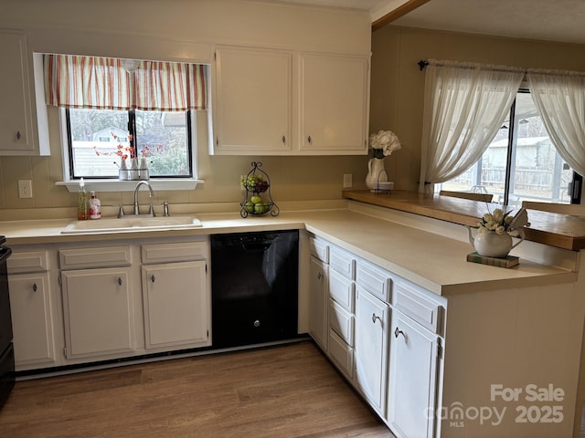 kitchen featuring dishwasher, sink, white cabinets, and light hardwood / wood-style floors