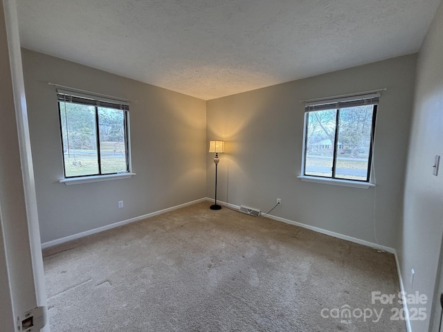 spare room featuring plenty of natural light, light colored carpet, and a textured ceiling