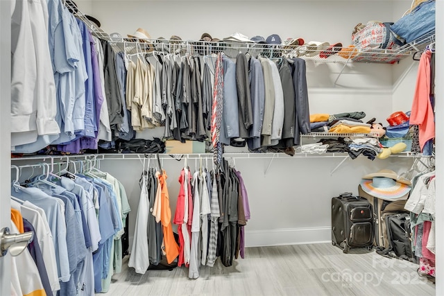 walk in closet featuring wood-type flooring