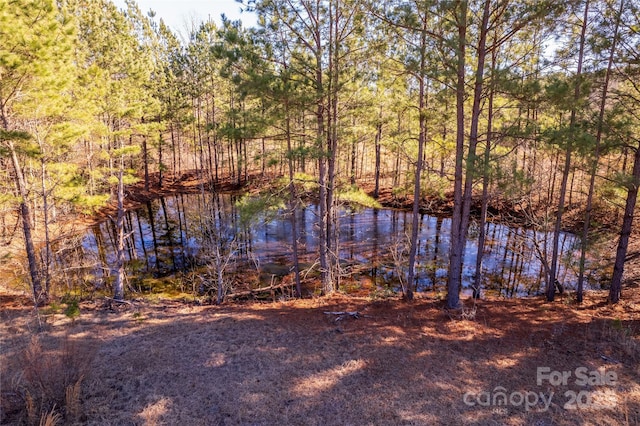 view of water feature