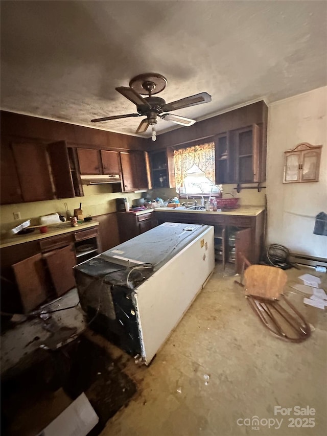 kitchen with sink, dark brown cabinets, and ceiling fan