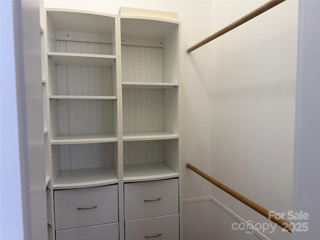 view of spacious closet