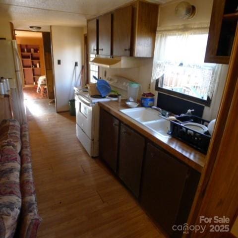 kitchen with sink, light hardwood / wood-style floors, and white electric range oven