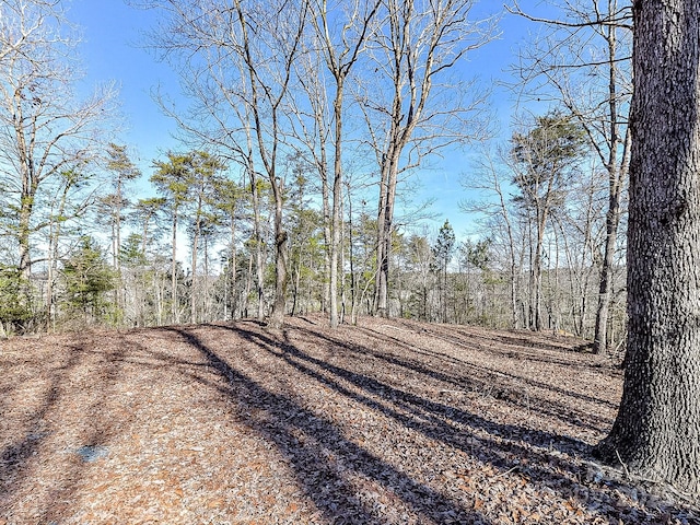 view of local wilderness