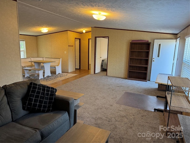 carpeted living room with crown molding, lofted ceiling, and a textured ceiling