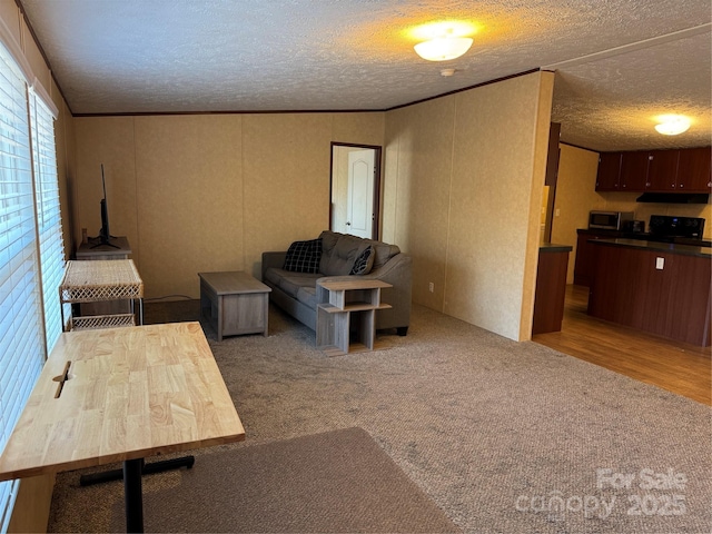 living room featuring ornamental molding, light colored carpet, and a textured ceiling