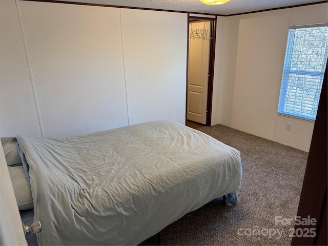 bedroom with multiple windows and carpet flooring