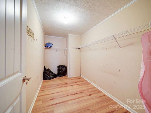 spacious closet with light hardwood / wood-style flooring