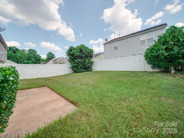 view of yard featuring a patio area and a fenced backyard