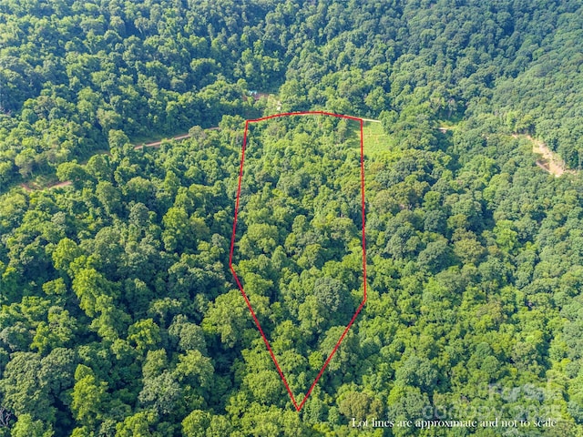 Listing photo 2 for LOT40 Adair Rdg, Canton NC 28716