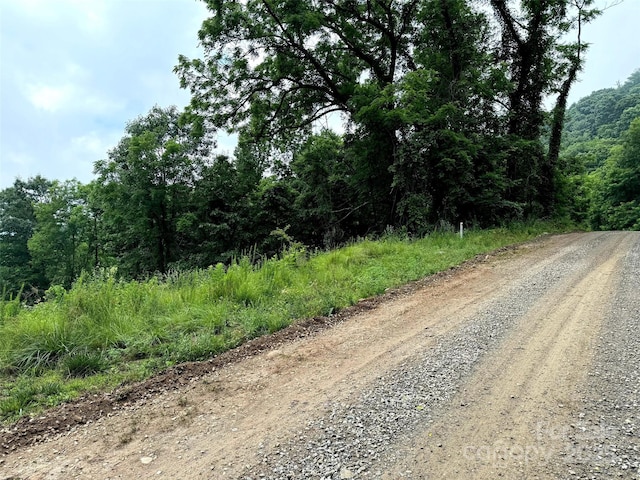 Listing photo 3 for LOT40 Adair Rdg, Canton NC 28716