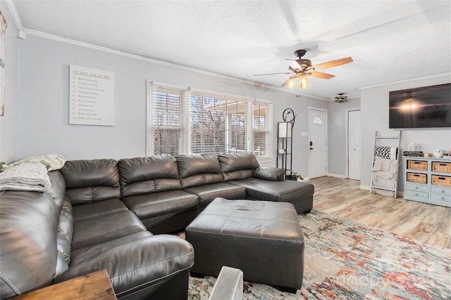 living area featuring ceiling fan, a textured ceiling, wood finished floors, and ornamental molding