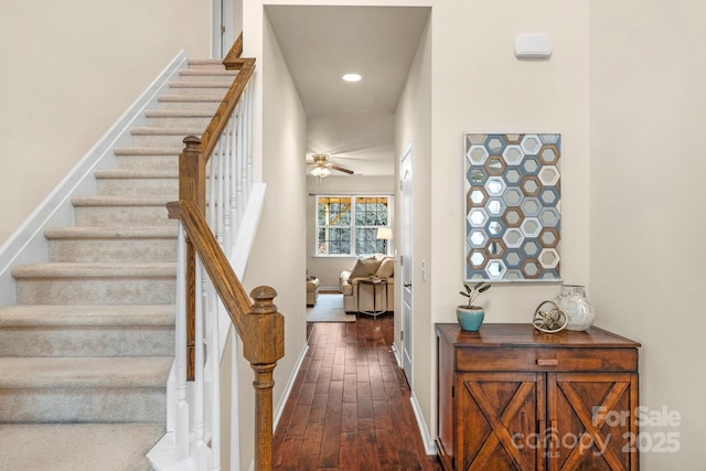 staircase featuring ceiling fan and wood-type flooring