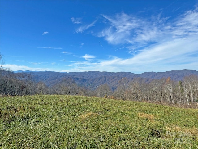 view of mountain feature