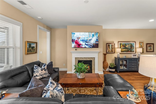 living room featuring hardwood / wood-style floors