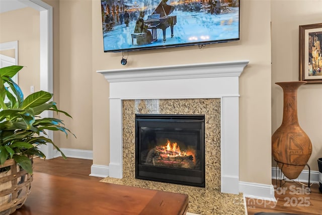 room details with hardwood / wood-style floors and a premium fireplace