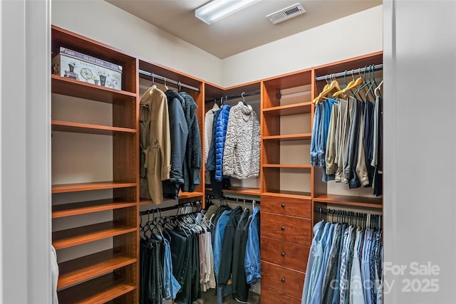 view of walk in closet