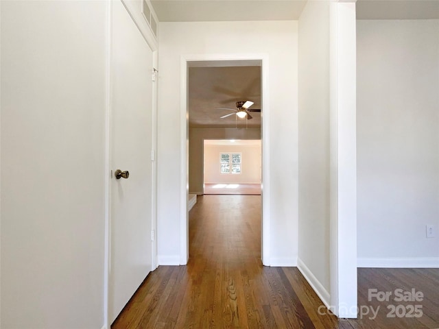 hallway featuring dark hardwood / wood-style floors