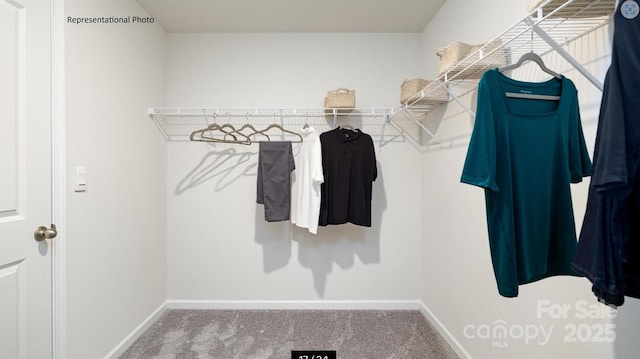 spacious closet with carpet