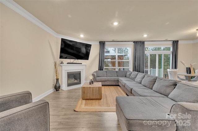 living room with crown molding and wood-type flooring