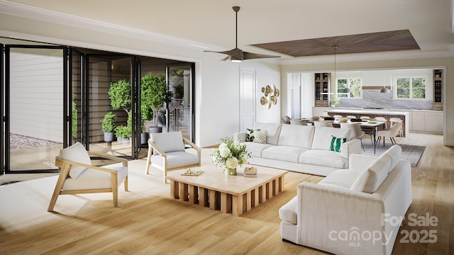 living room with a tray ceiling and light hardwood / wood-style flooring