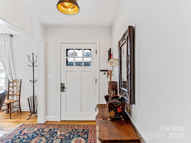 foyer entrance featuring plenty of natural light and wood-type flooring