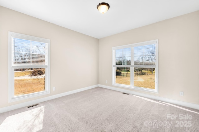 carpeted spare room with a wealth of natural light