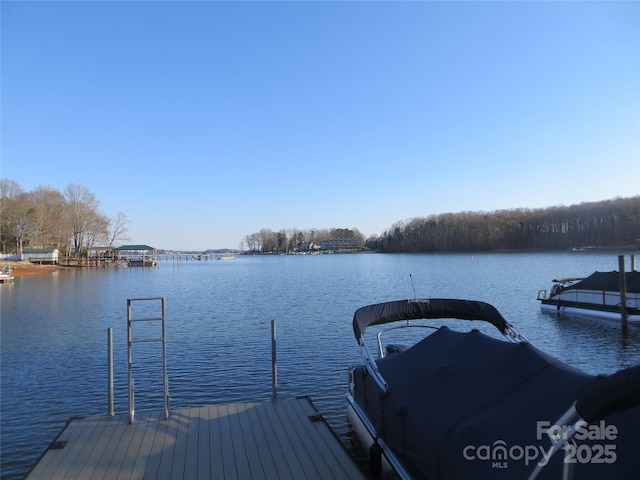 view of dock with a water view