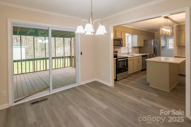 kitchen featuring sink, appliances with stainless steel finishes, hanging light fixtures, a center island, and a notable chandelier