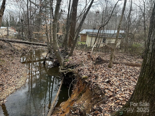 view of local wilderness