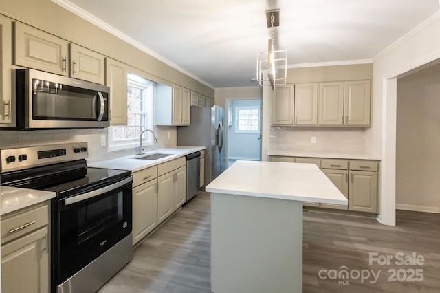 kitchen featuring a sink, tasteful backsplash, stainless steel appliances, and wood finished floors