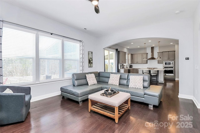 living room with dark wood-type flooring and plenty of natural light