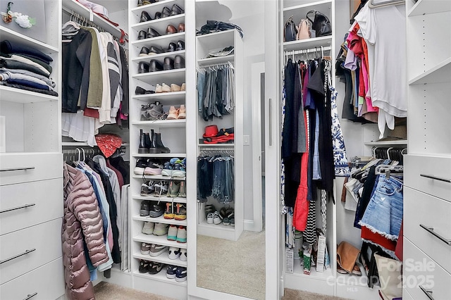 walk in closet with light colored carpet