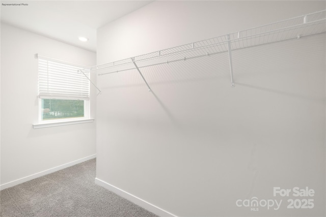 spacious closet featuring carpet floors