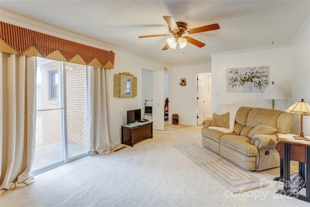 living area featuring light carpet, ornamental molding, a textured ceiling, and a wealth of natural light