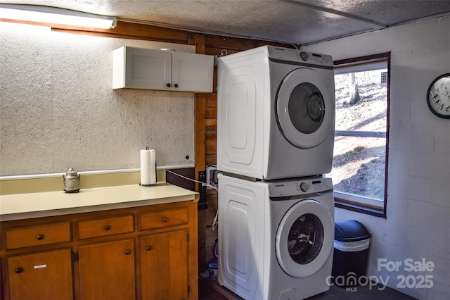 77 Nash Trl, Bryson City, NC 28713 - laundry area with cabinets and stacked washer / drying machine