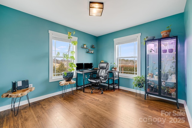 home office with a wealth of natural light and wood-type flooring