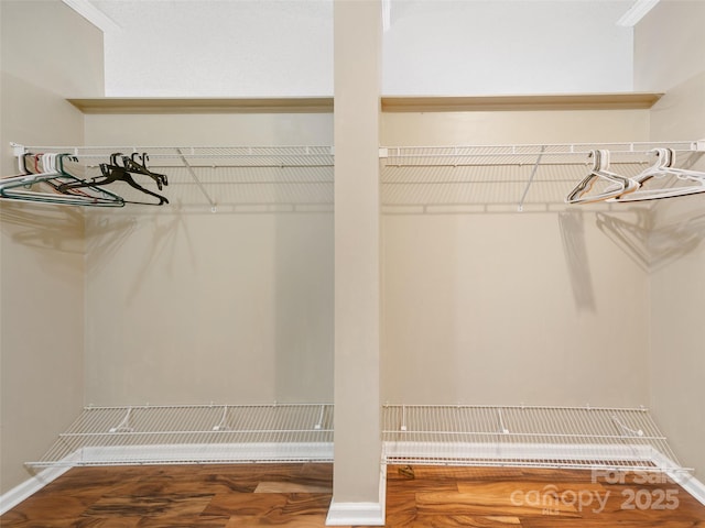 walk in closet with hardwood / wood-style floors