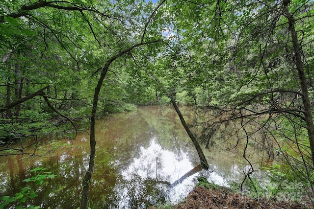 2988 Great Falls Highway, Lancaster, SC 29720 - photo 42