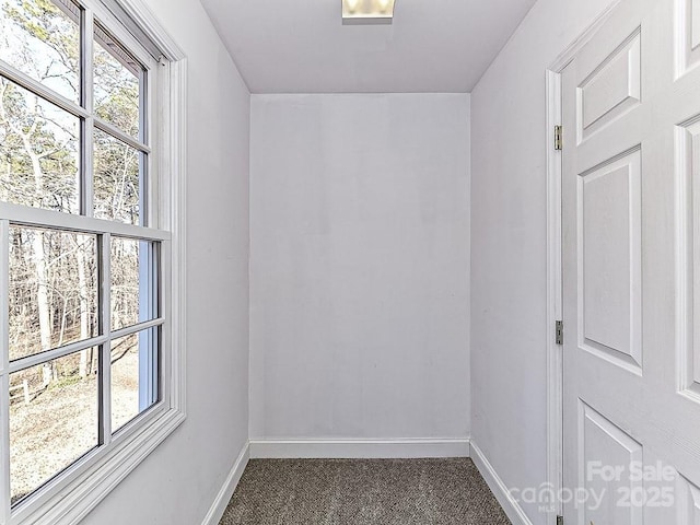 carpeted empty room featuring a wealth of natural light