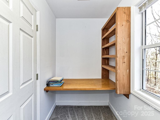 mudroom with built in desk, carpet, and plenty of natural light