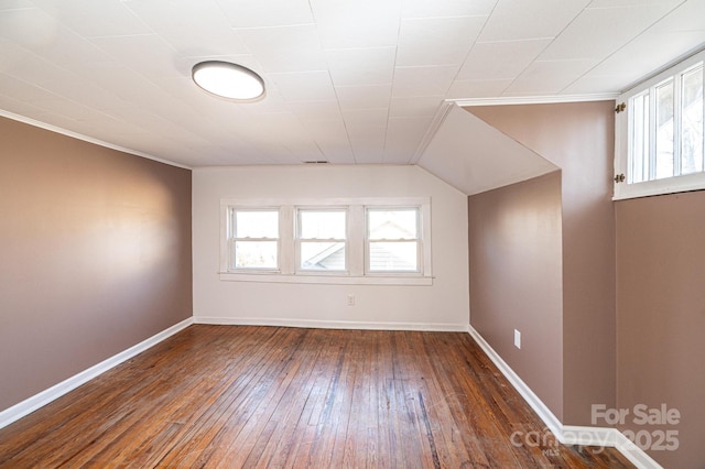 additional living space featuring dark hardwood / wood-style flooring