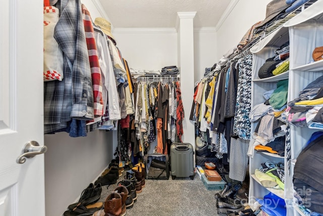 spacious closet featuring carpet floors