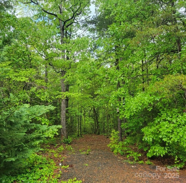 view of nature