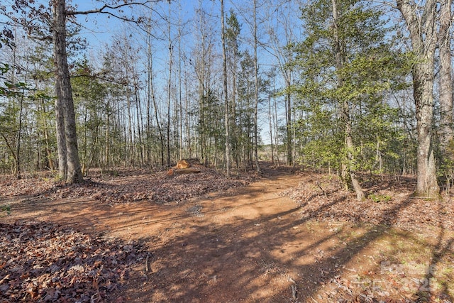 view of local wilderness