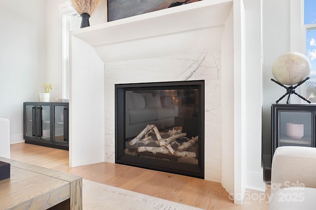 room details featuring wood-type flooring and a fireplace