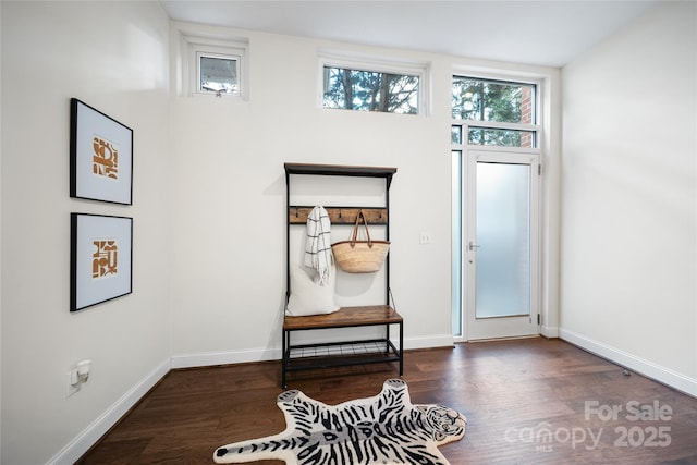 entrance foyer featuring dark hardwood / wood-style flooring