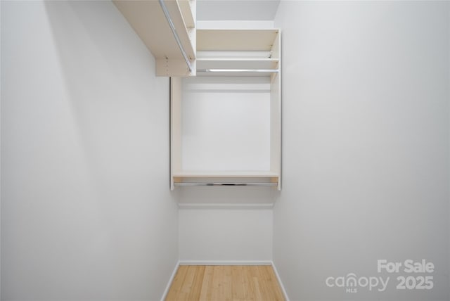 spacious closet with light wood-type flooring