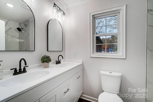 bathroom with vanity, toilet, and a shower