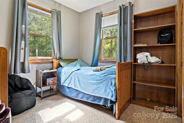 carpeted bedroom featuring multiple windows